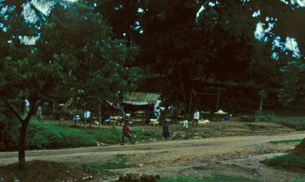 23-14-ilo-OgboliOlosi-close