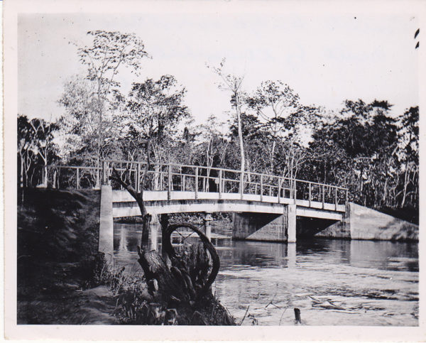 McWhirter 06 Nkisi walkbridge