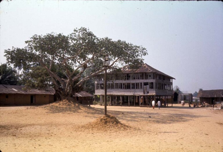 Visit to Opobo, December 1961 A Mighty Tree